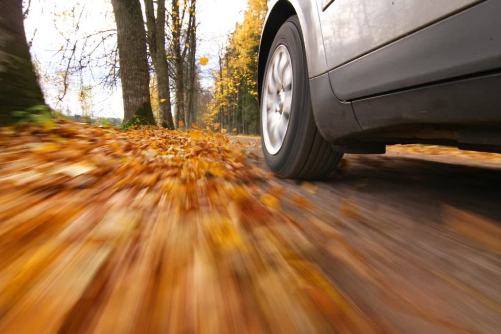 car driving through fall leaves