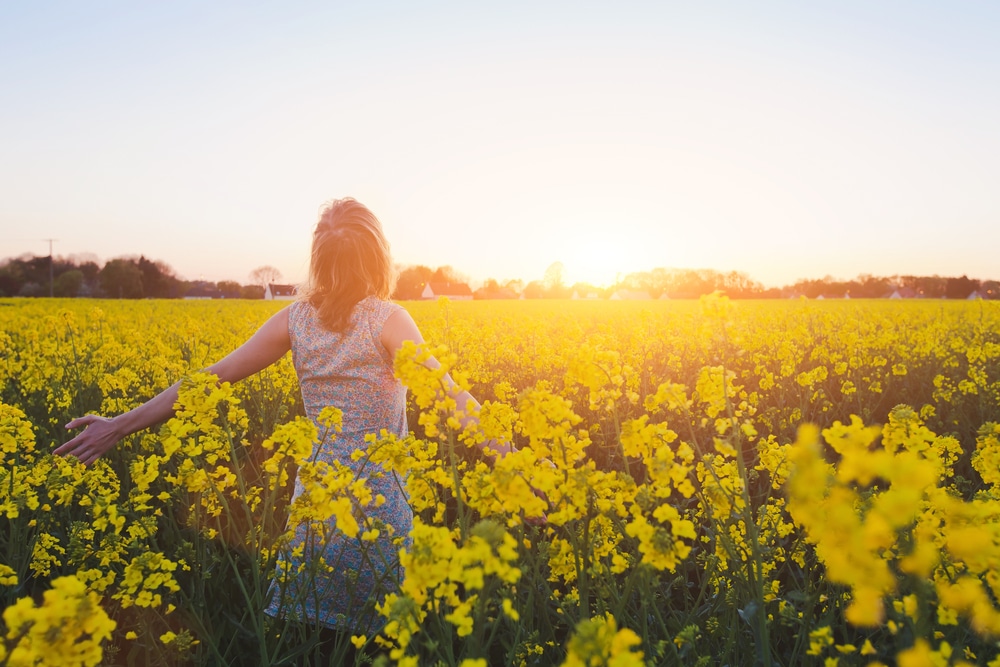 Happy,Young,Woman,Enjoying,Summer,In,Yellow,Field,At,Sunset